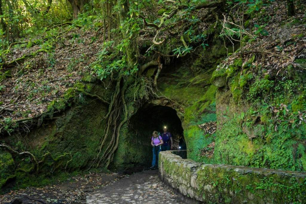 Levada do Caldeirão Verde, Madeira Island