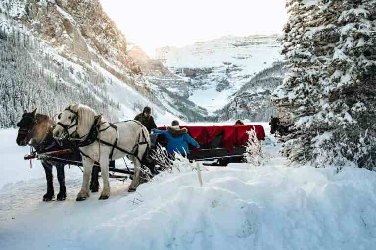 banff horse sleigh ride