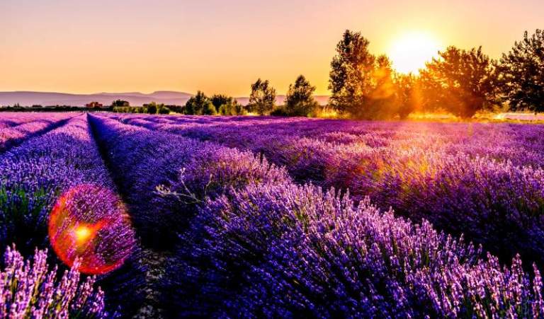 provence france