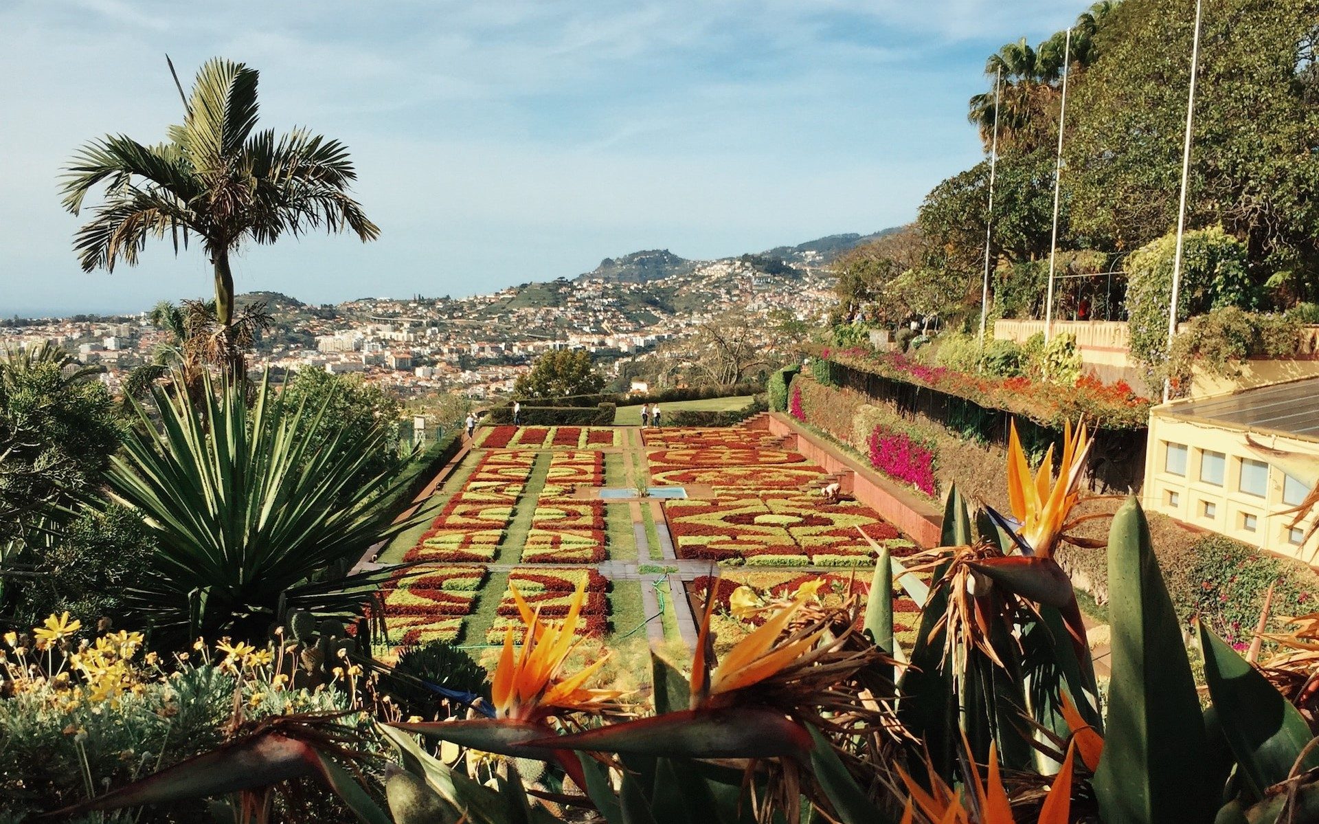 Madiera Botanical Gardens