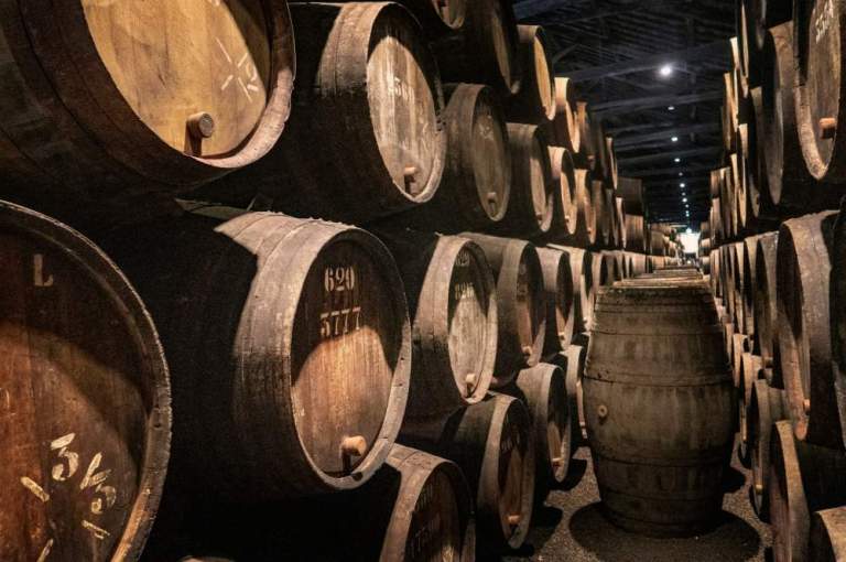 wine cellar - porto portugal