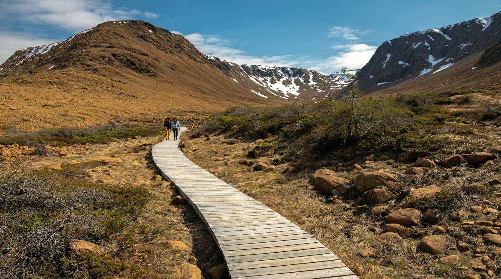 Tablelands trail boardwalk in Newfoundland Canada