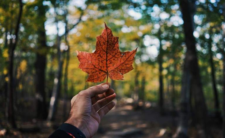 ontario vs quebec travel