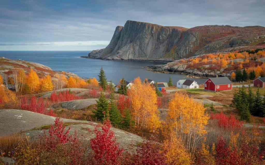 Swift Current Newfoundland