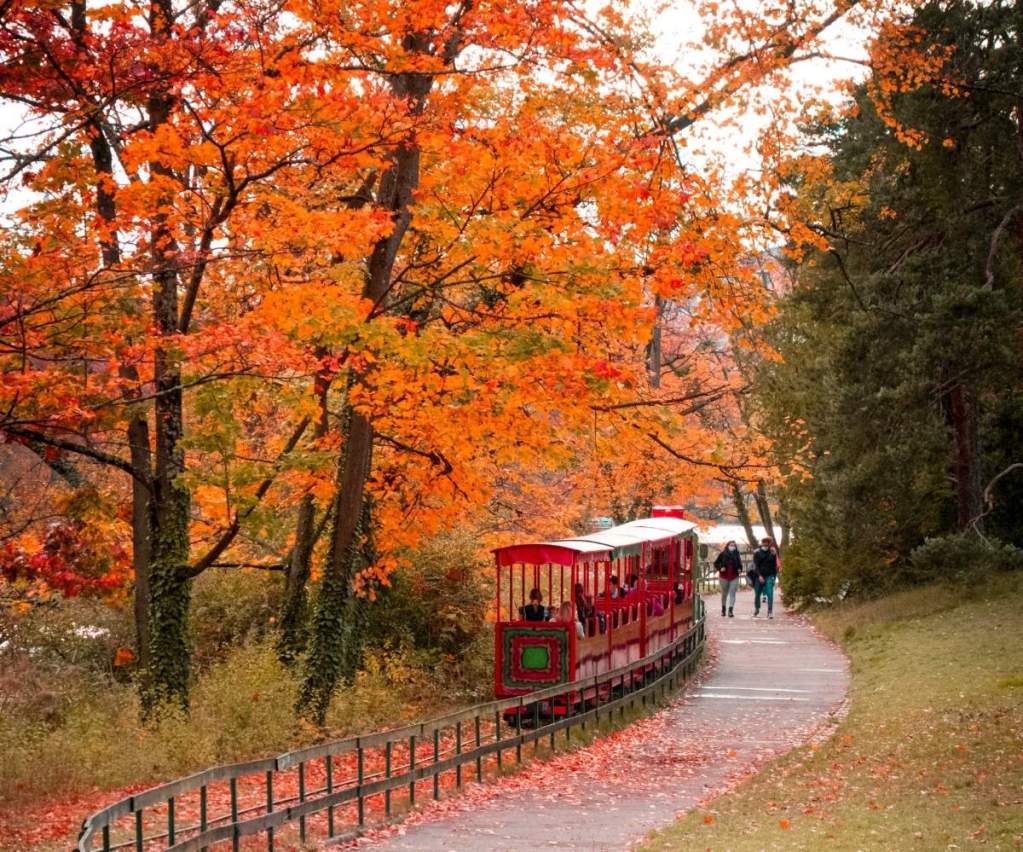 Parc de la Tête d'Or Lyon France