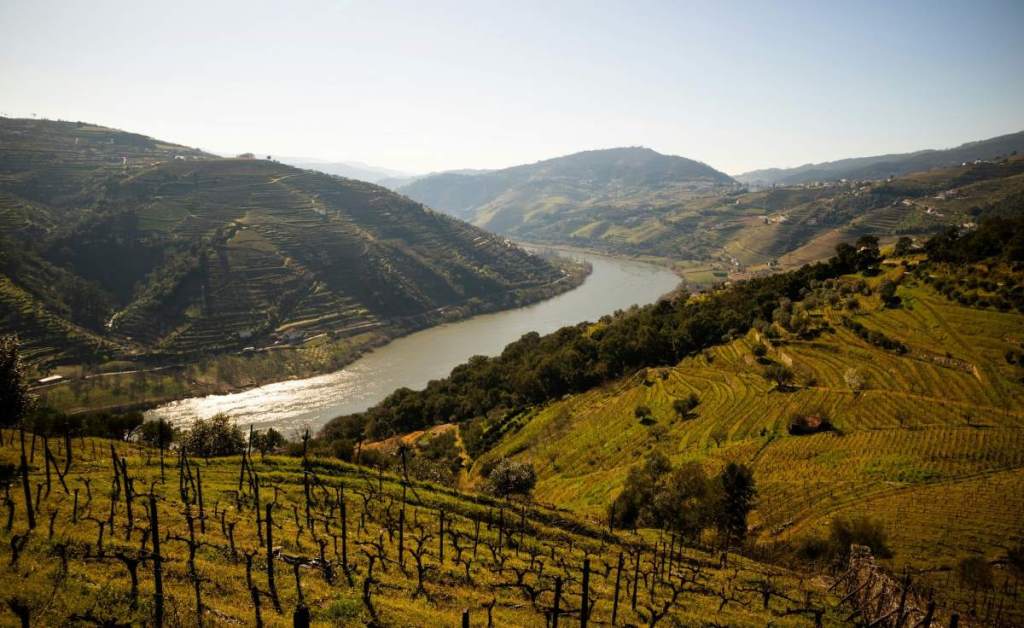 duoro valley douro river