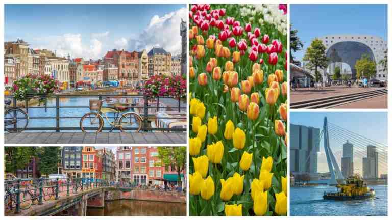 rotterdam vs amsterdam travel