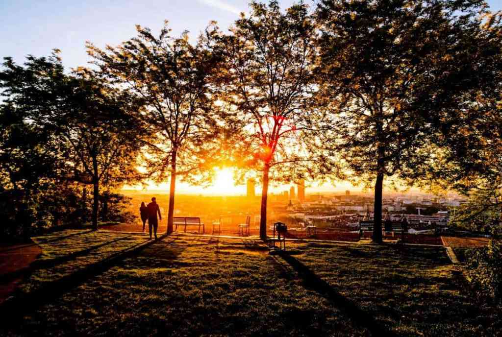 Garden of Curiosities Lyon France