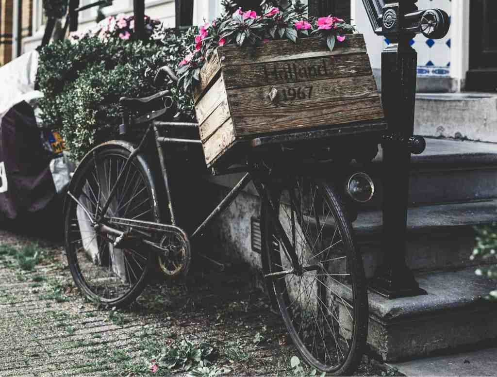 Jordaan Amsterdam The Netherlands